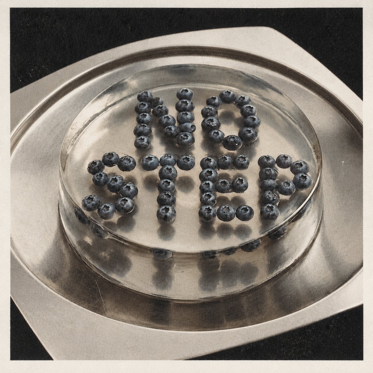 NO STEP spelled in blueberries set in a clear resin block on a steel tray